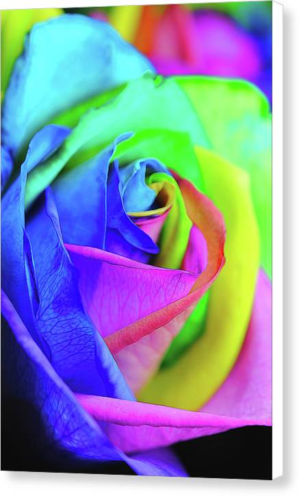 Flowers 2337 - Canvas Print