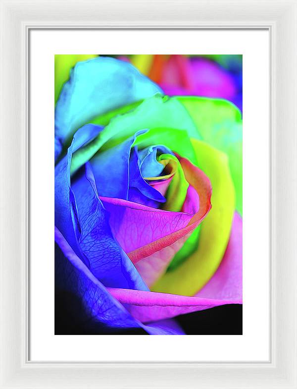 Flowers 2337 - Framed Print