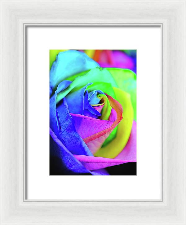Flowers 2337 - Framed Print