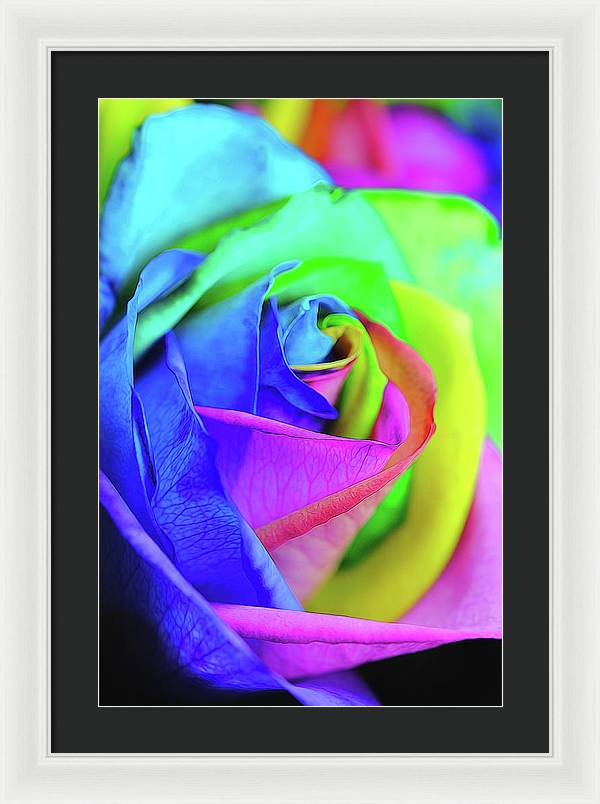 Flowers 2337 - Framed Print