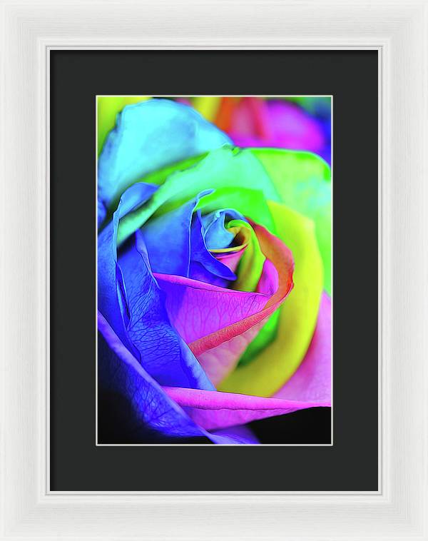 Flowers 2337 - Framed Print