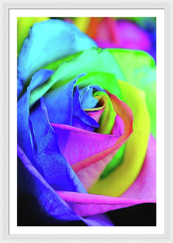 Flowers 2337 - Framed Print