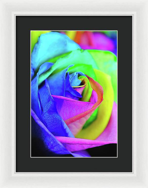 Flowers 2337 - Framed Print
