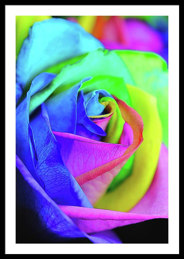 Flowers 2337 - Framed Print