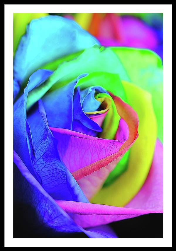 Flowers 2337 - Framed Print