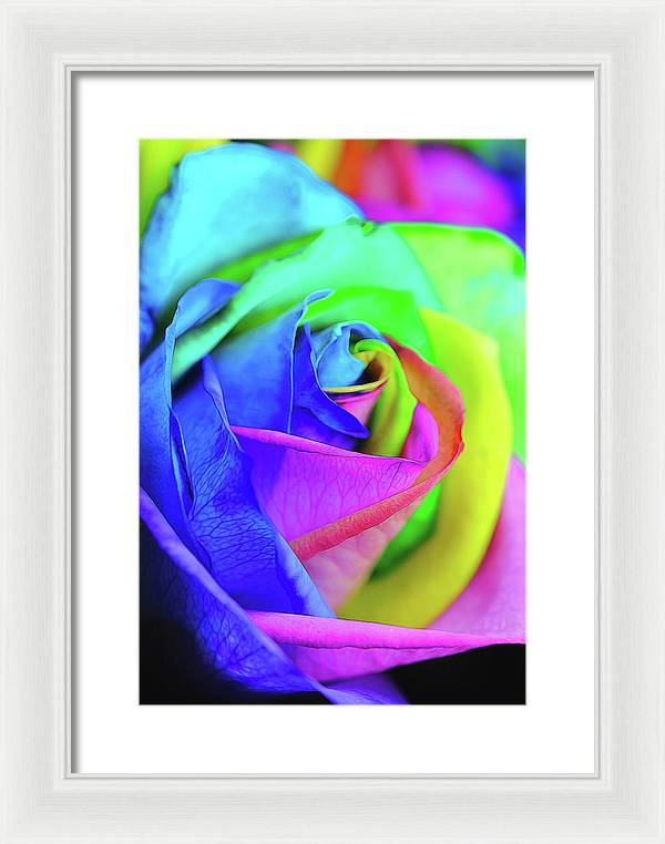 Flowers 2337 - Framed Print