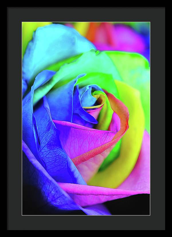 Flowers 2337 - Framed Print