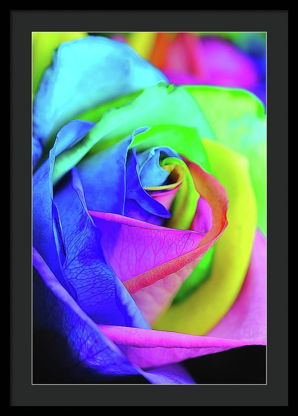 Flowers 2337 - Framed Print