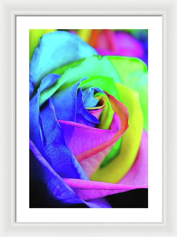 Flowers 2337 - Framed Print