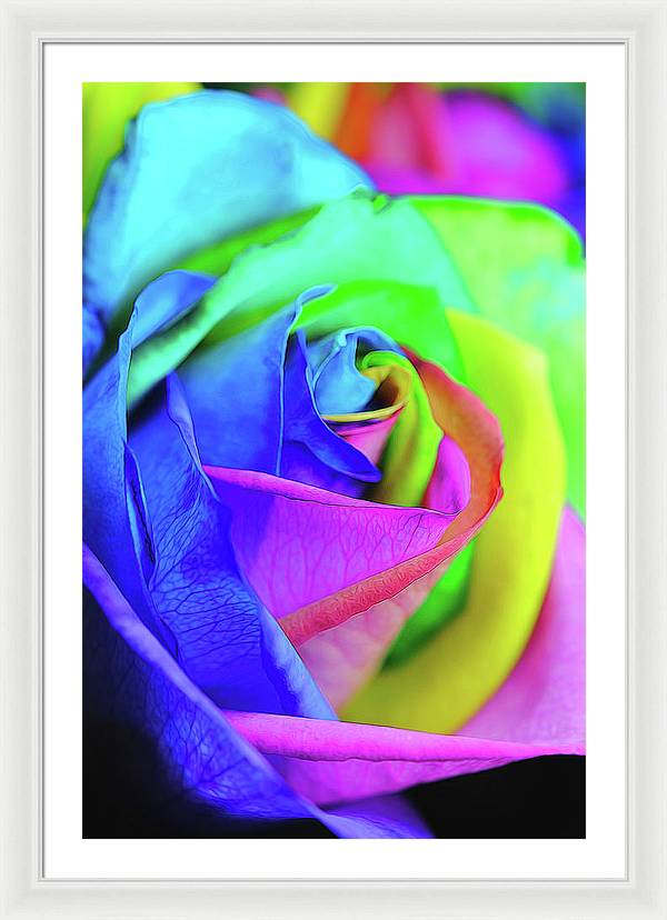 Flowers 2337 - Framed Print