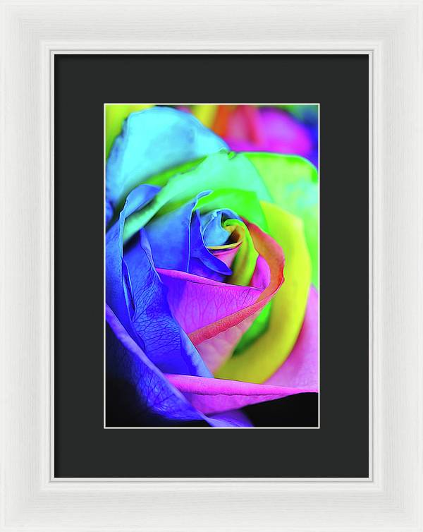 Flowers 2337 - Framed Print