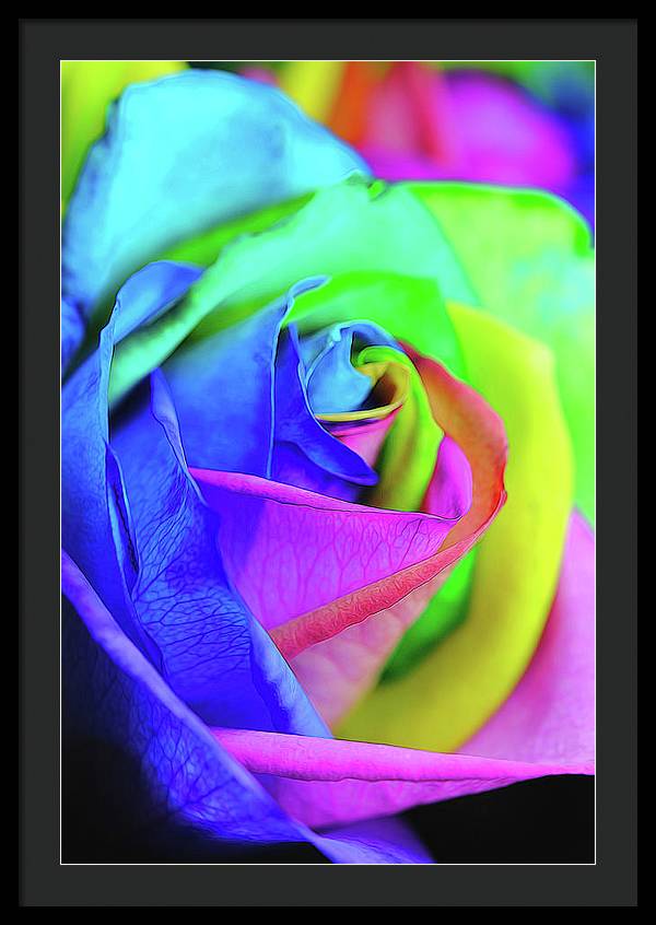 Flowers 2337 - Framed Print