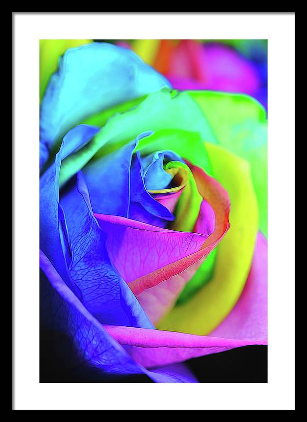 Flowers 2337 - Framed Print
