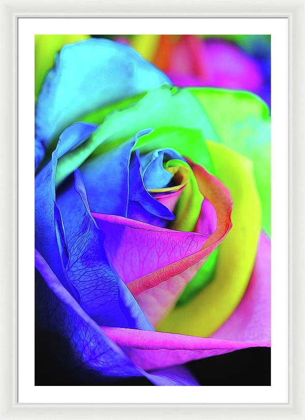 Flowers 2337 - Framed Print