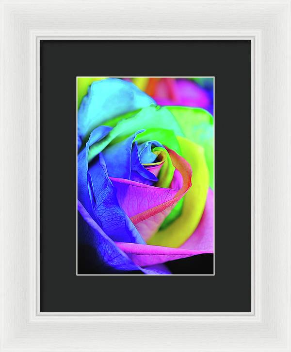 Flowers 2337 - Framed Print