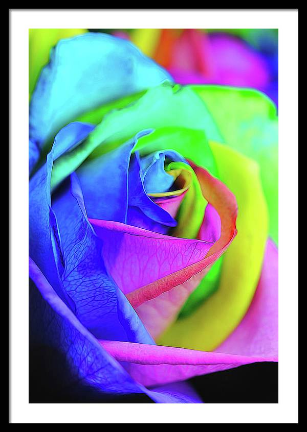 Flowers 2337 - Framed Print