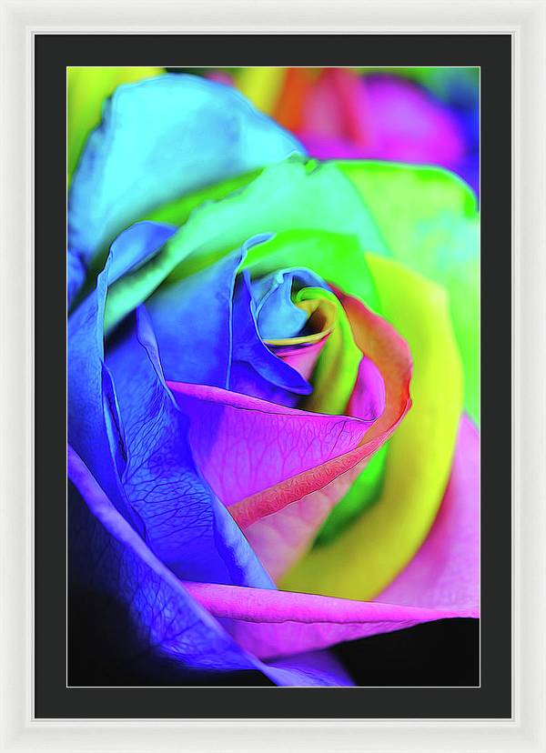 Flowers 2337 - Framed Print