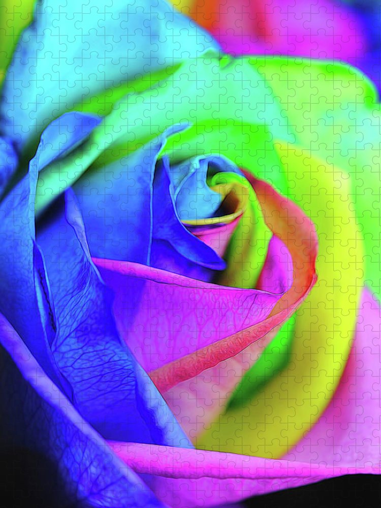 Flowers 2337 - Puzzle