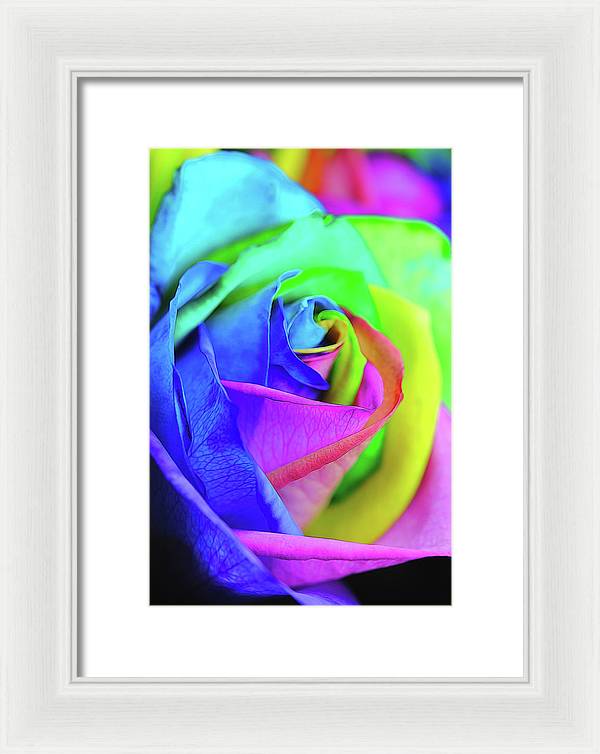 Flowers 2337 - Framed Print