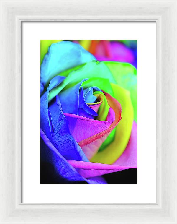 Flowers 2337 - Framed Print