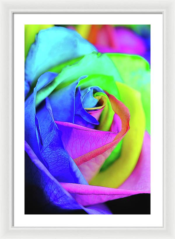 Flowers 2337 - Framed Print