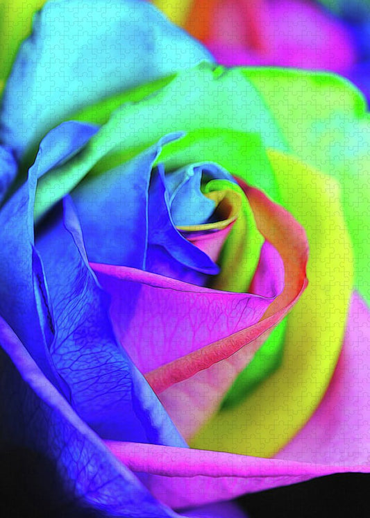 Flowers 2337 - Puzzle