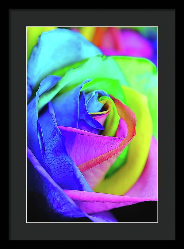 Flowers 2337 - Framed Print