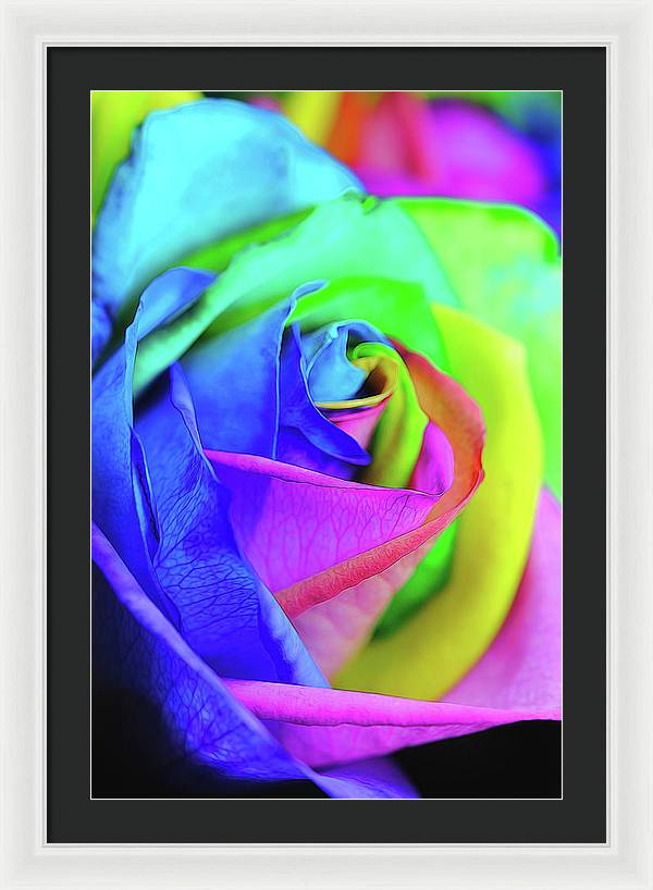 Flowers 2337 - Framed Print