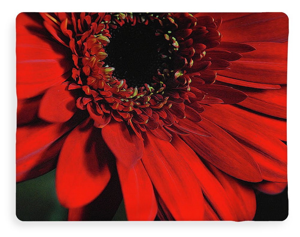 Flowers 2406 - Blanket