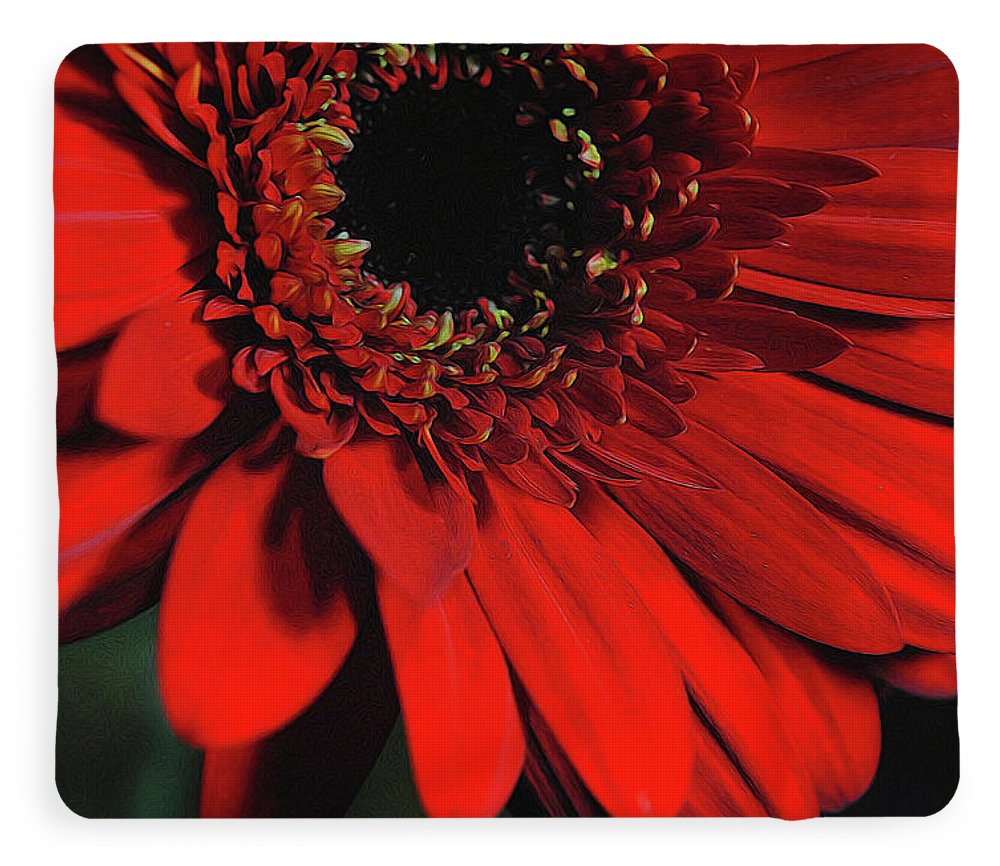 Flowers 2406 - Blanket