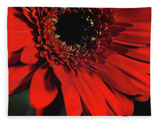Flowers 2406 - Blanket
