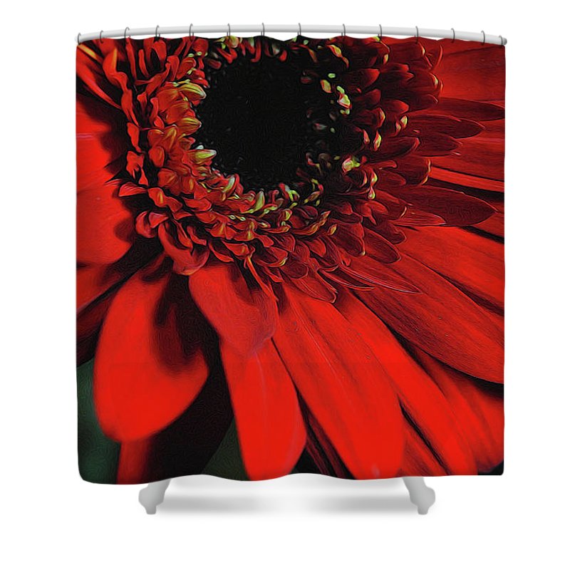 Flowers 2406 - Shower Curtain