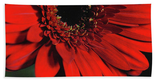Flowers 2406 - Beach Towel