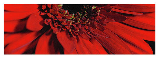 Flowers 2406 - Yoga Mat