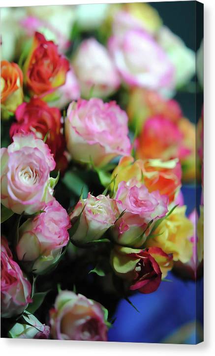Flowers 260 - Canvas Print