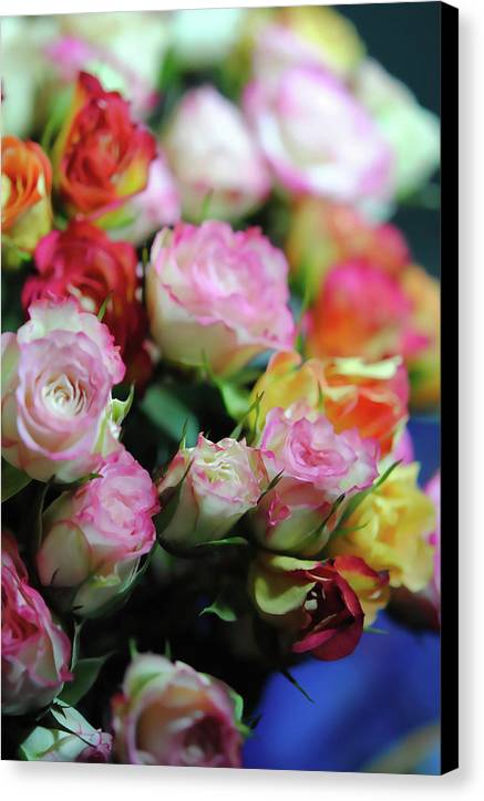 Flowers 260 - Canvas Print