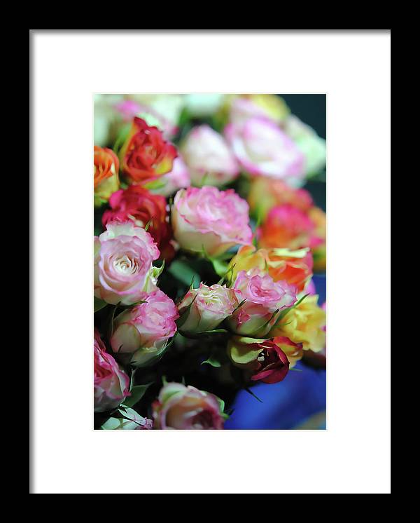 Flowers 260 - Framed Print