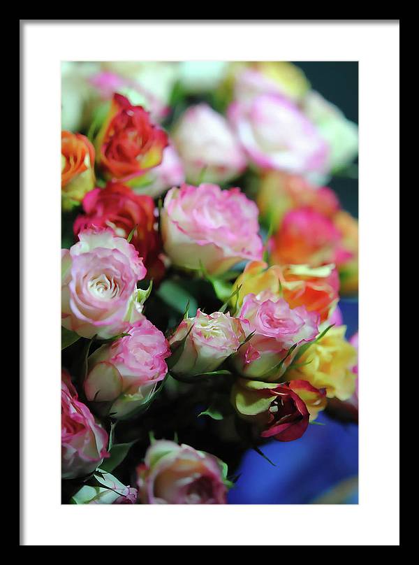 Flowers 260 - Framed Print