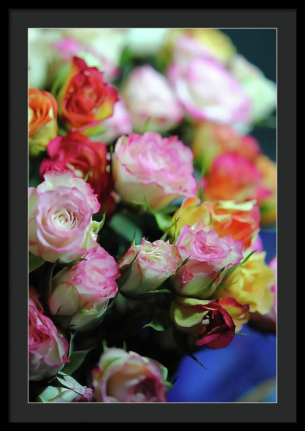 Flowers 260 - Framed Print