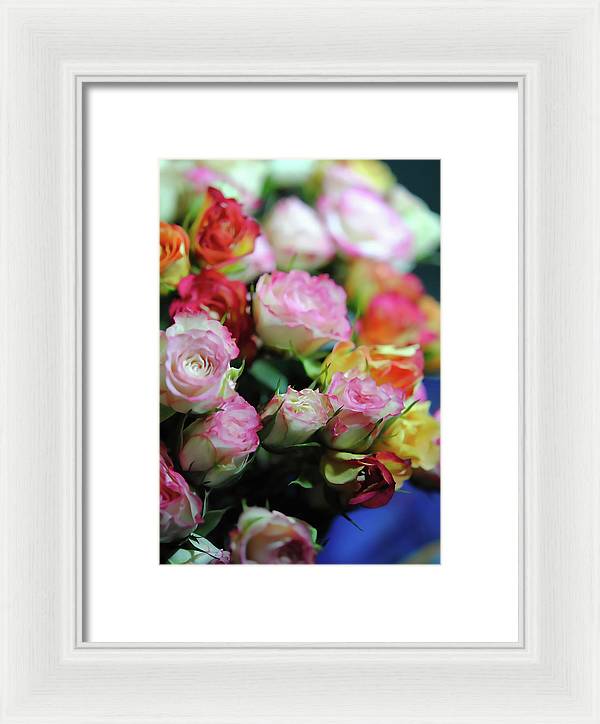 Flowers 260 - Framed Print