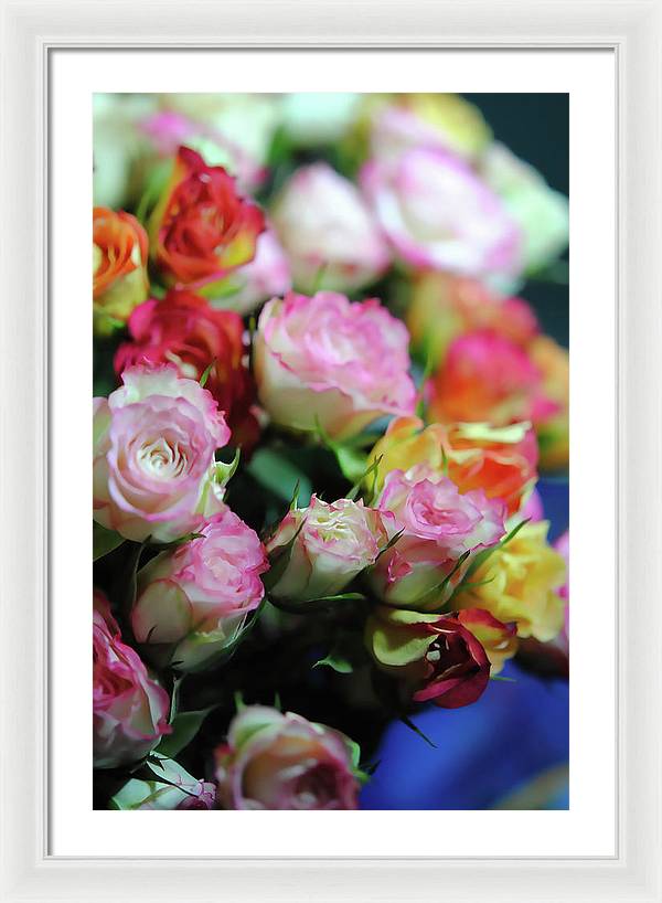 Flowers 260 - Framed Print