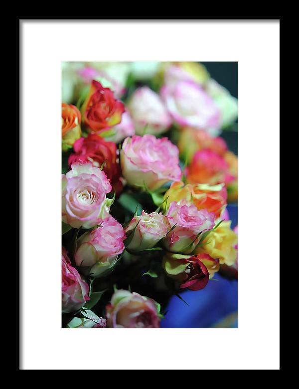 Flowers 260 - Framed Print
