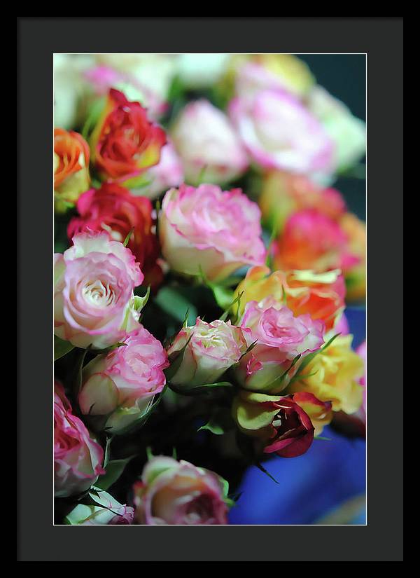 Flowers 260 - Framed Print