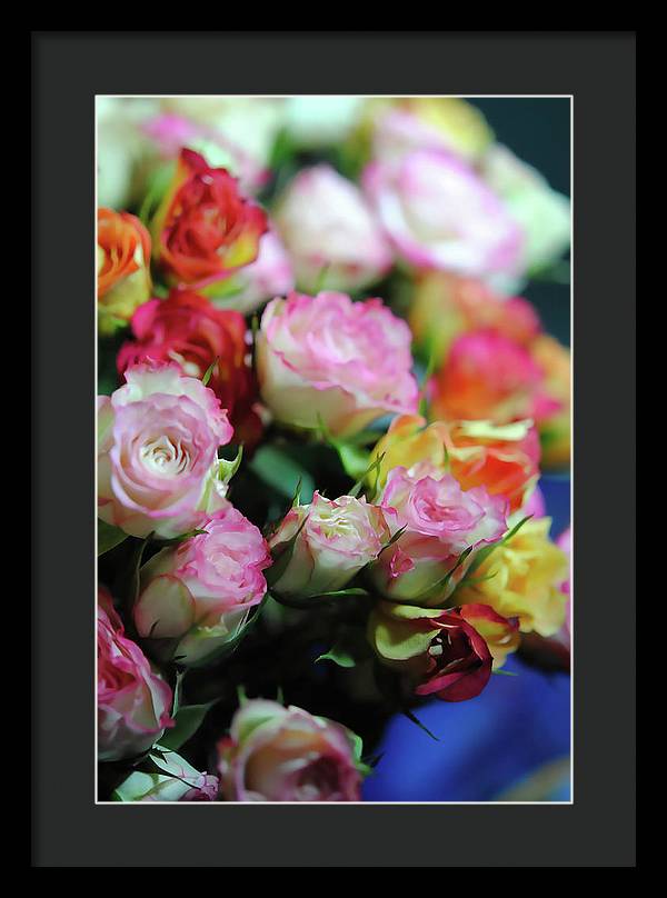 Flowers 260 - Framed Print