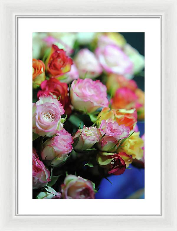 Flowers 260 - Framed Print