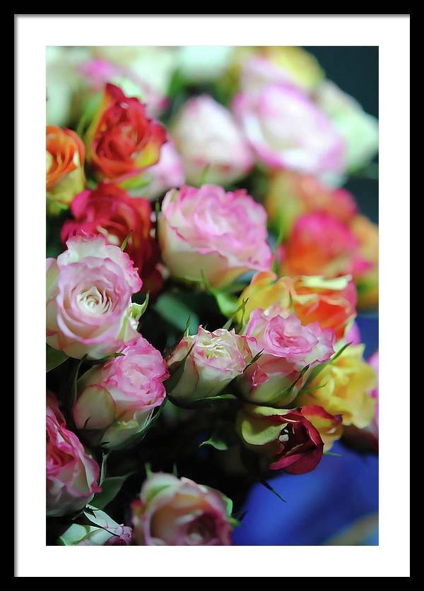 Flowers 260 - Framed Print