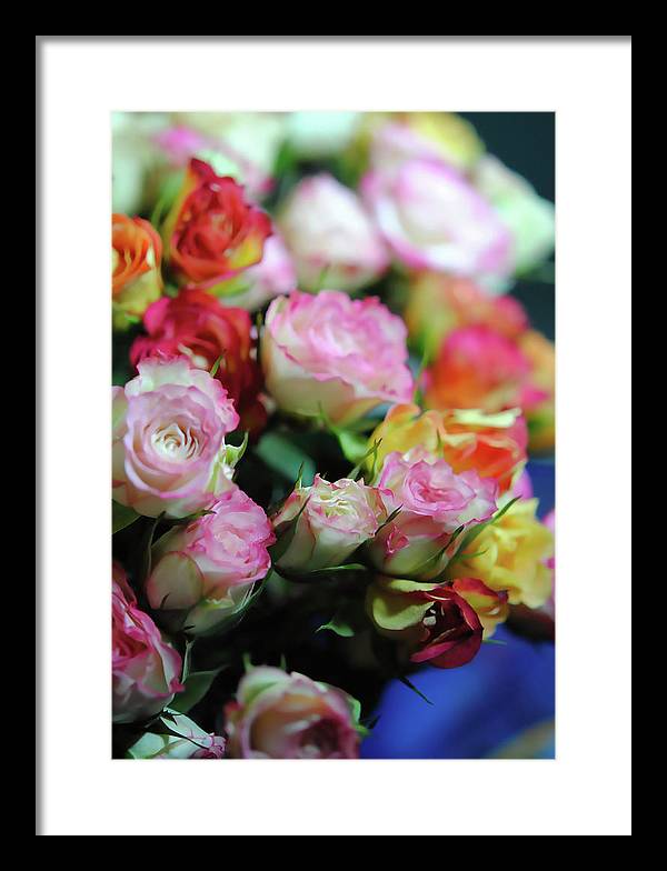 Flowers 260 - Framed Print