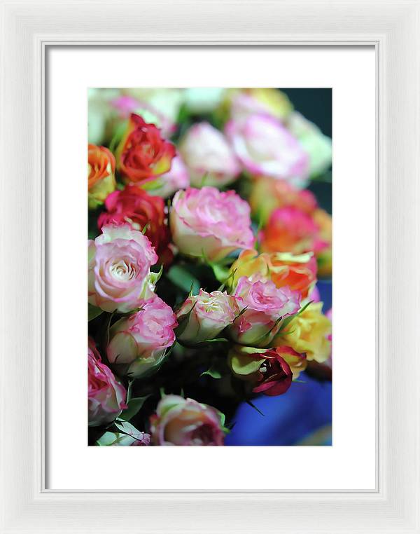 Flowers 260 - Framed Print