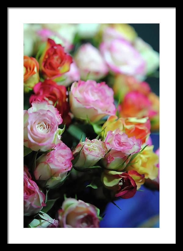 Flowers 260 - Framed Print
