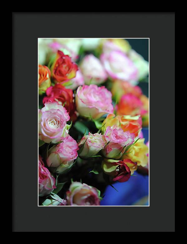 Flowers 260 - Framed Print